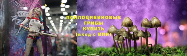 таблы Вяземский