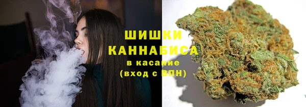 стаф Горнозаводск
