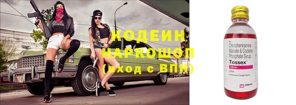 сатива Горно-Алтайск