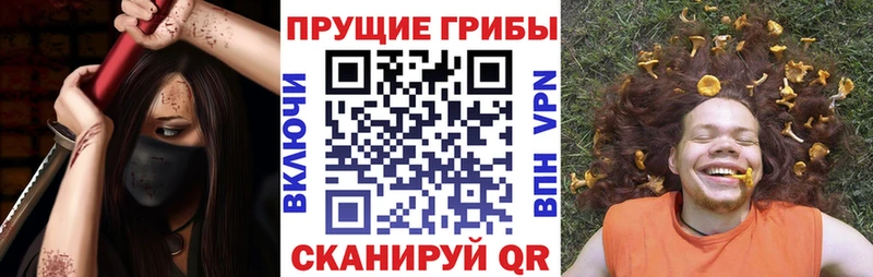 Галлюциногенные грибы мухоморы  Купить где  Кириши 